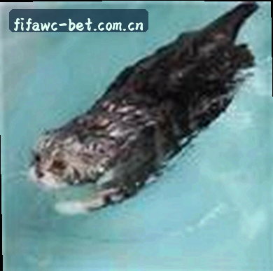 赵悦